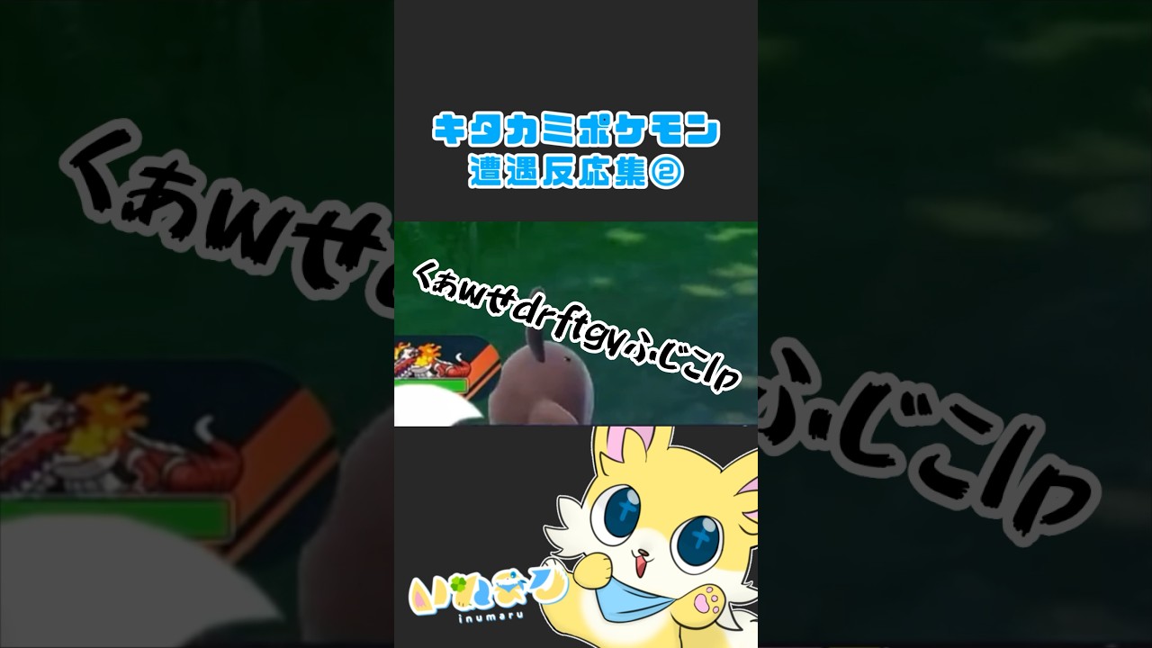 【ポケモンSV】オタチも大好きなんです【切り抜き】#shorts #ポケモンsv