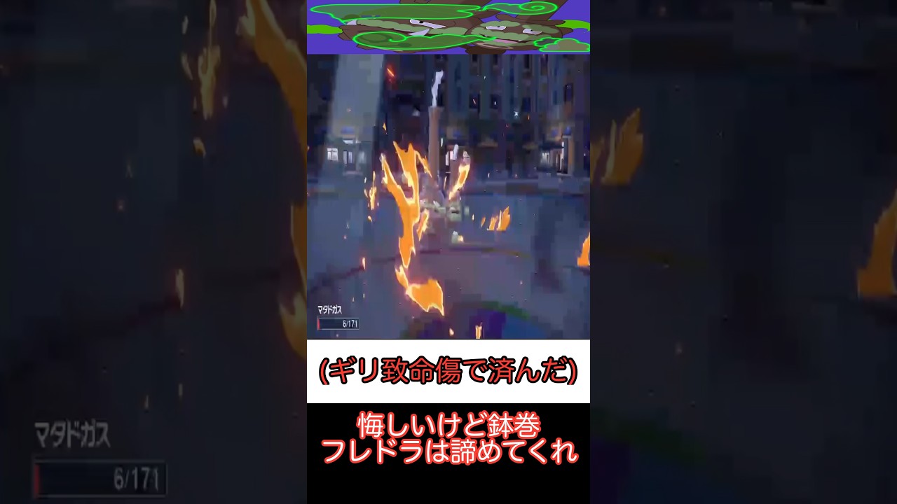 【ポケモンSV】コライドン受けマタドガスの可能性