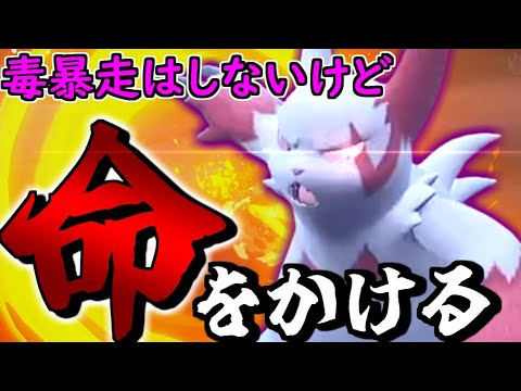 このザングース、毒暴走はしないけど命をかけて戦います。【ポケモンSV】【ゆっくり実況】