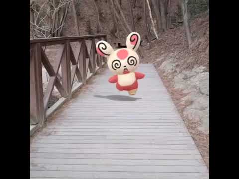 얼루기 ( Spinda ) パッチール ( 晃晃斑 )
