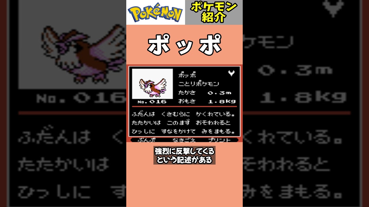 「ポッポ」ポケモン紹介 #任天堂 #ポケットモンスター #shorts