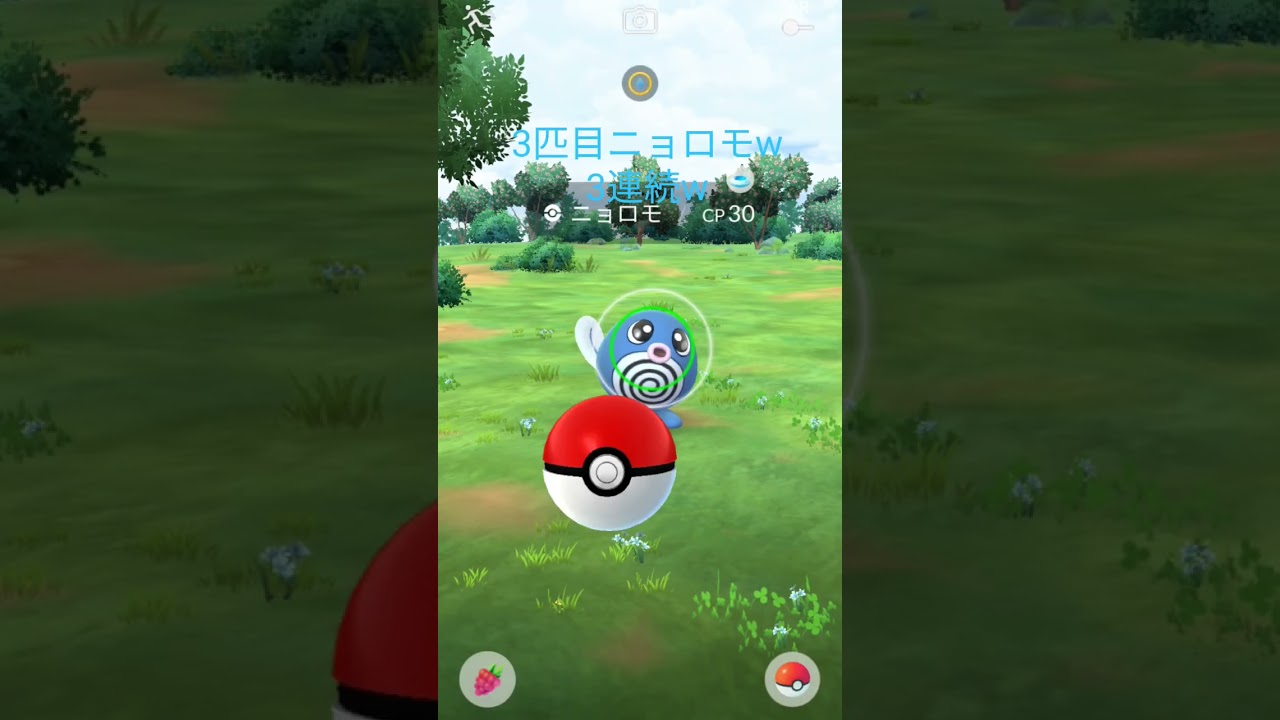 ニョロモが3連続ガラル三鳥捕まえられるまで終われません19日目＃ポケモン #pokémon ＃PokémonGO