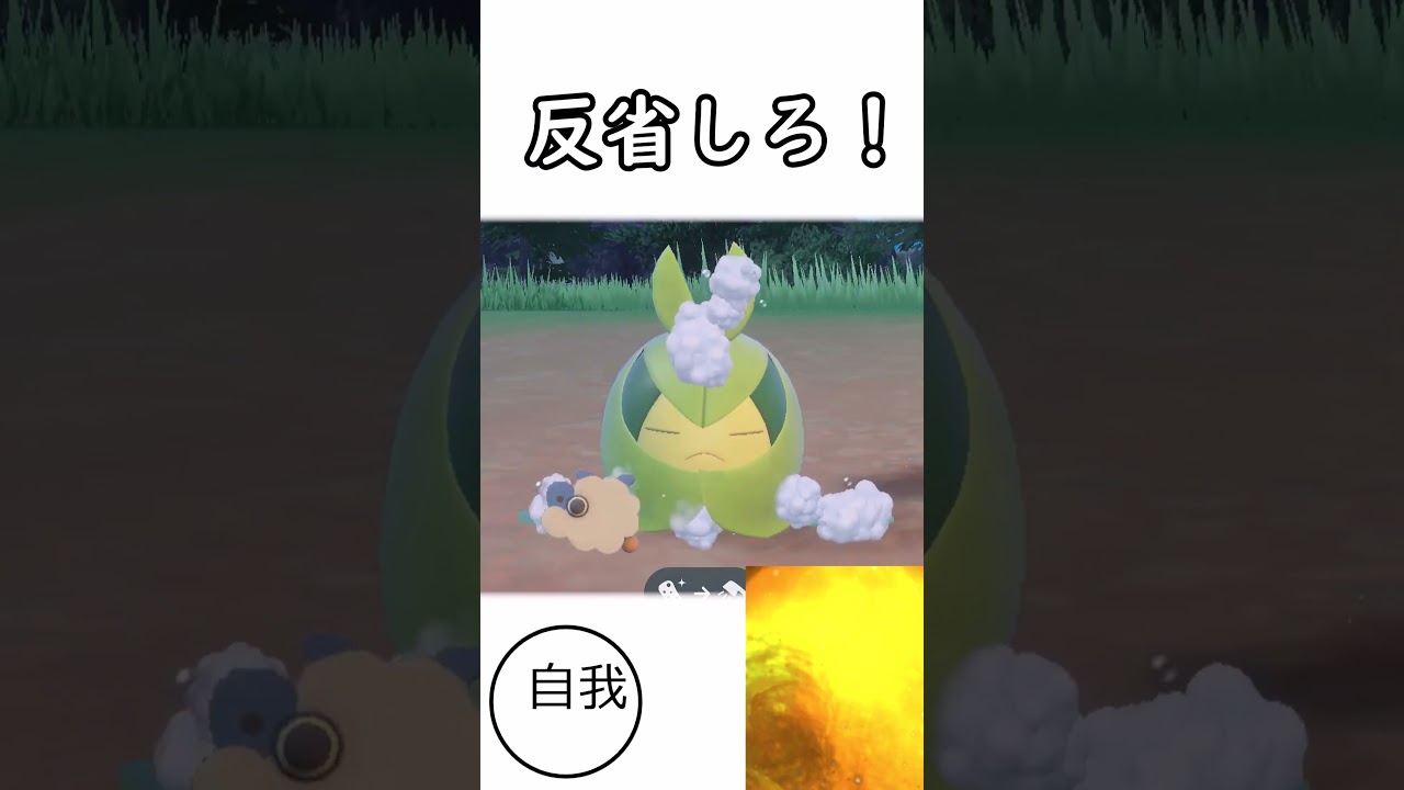 【ポケモンSV】みんなは知らないクルマユの雑学　パロディ（怒られたら消します）＃ポケモン＃ゆっくり実況＃ゆっくり実況か？＃クルマユ可愛いな↑