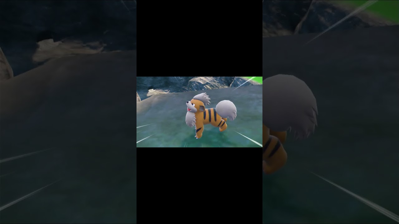 ガーディ寝顔チャレンジ【ポケモンSV】#ポケモンsv #ポケモン #shorts