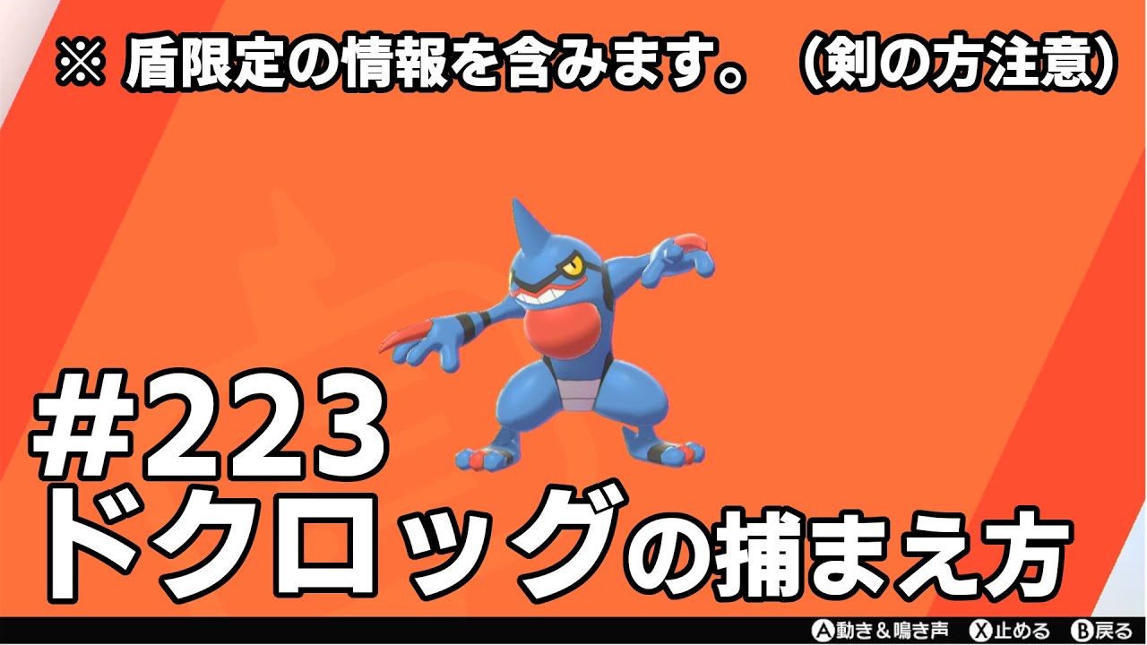 ドクロッグを探している方に見てほしい動画