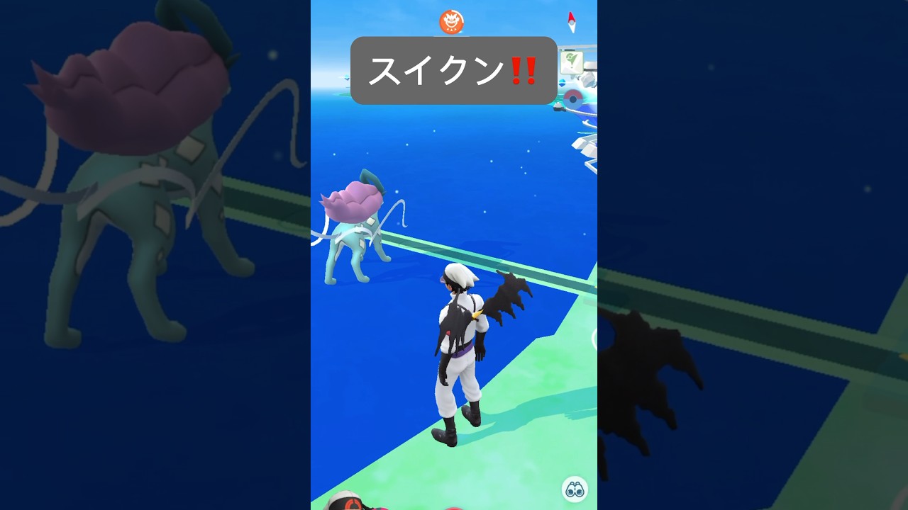 【ポケモンGO】スイクンが現れた!!【✨Suicune Pokémon GO✨】