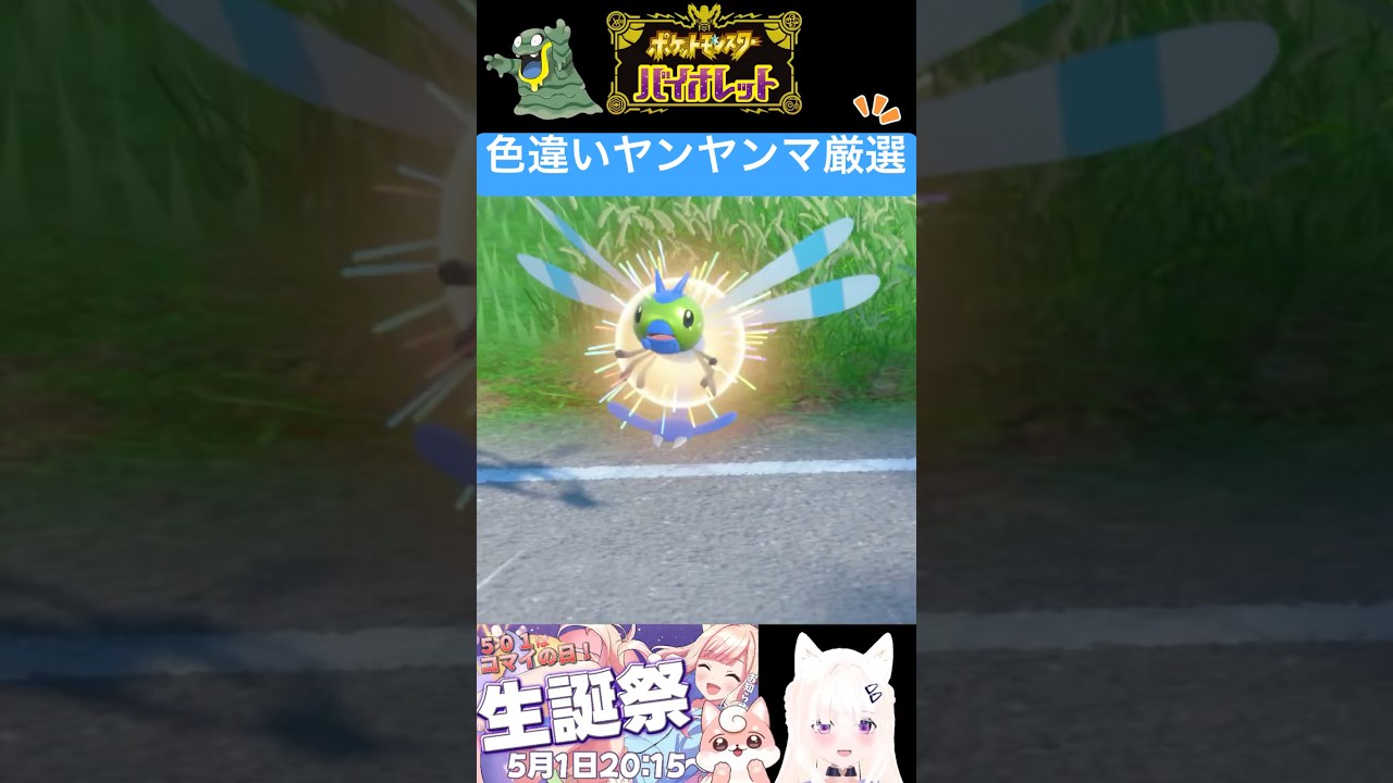 #ポケモンsv 色違いヤンヤンマ厳選