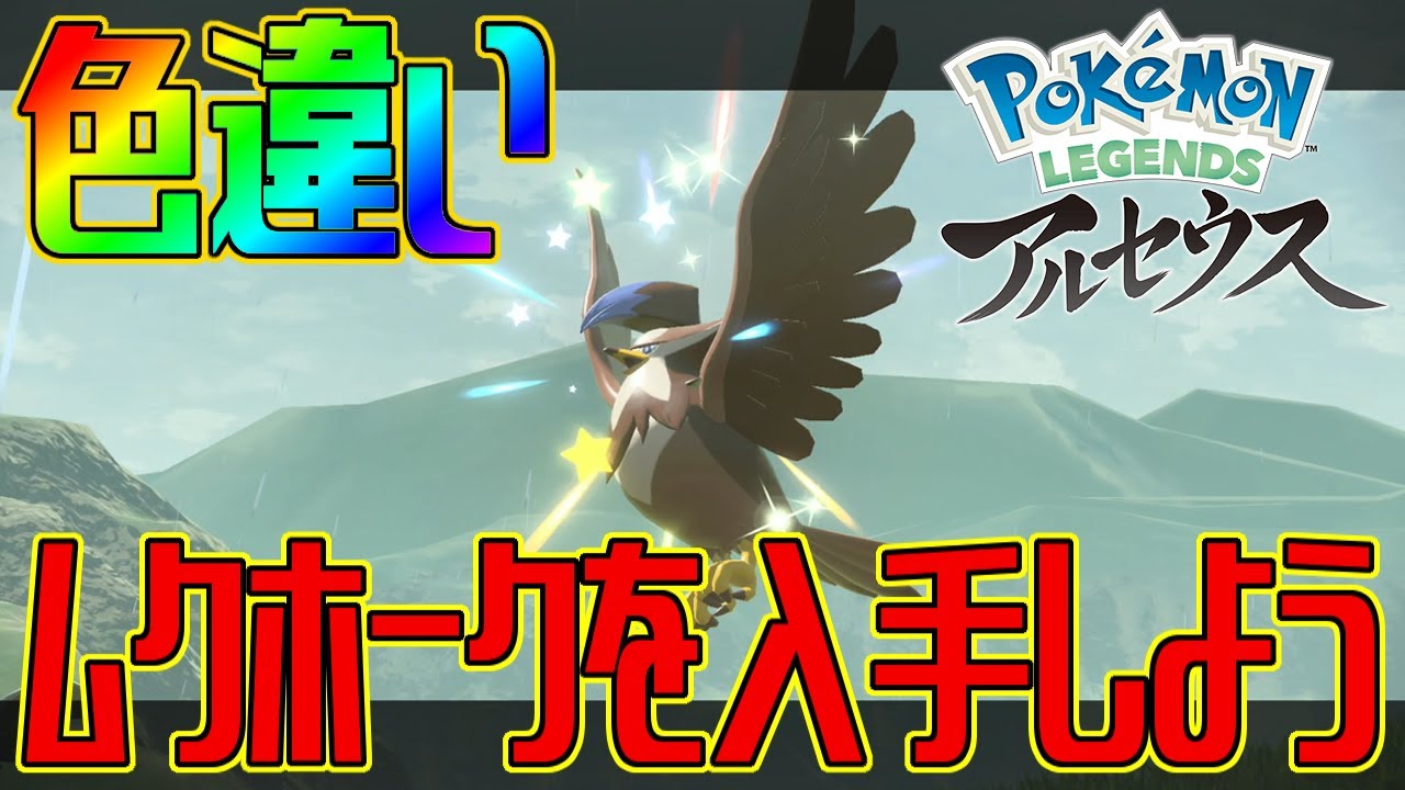 【ポケモンアルセウス】色違いムクホークを入手しよう【Pokémon LEGENDS アルセウス】