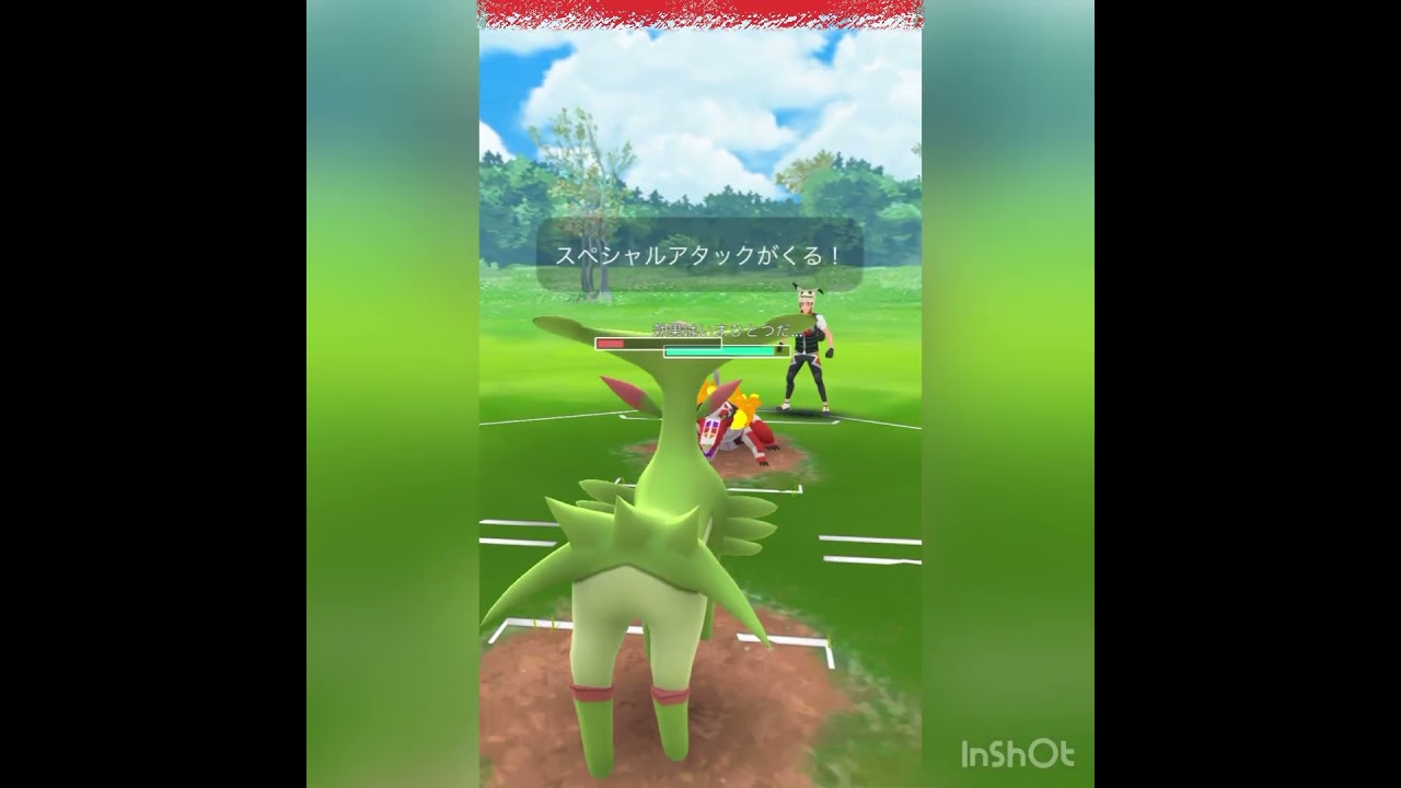 ガラルファイヤー使ってみた‼️