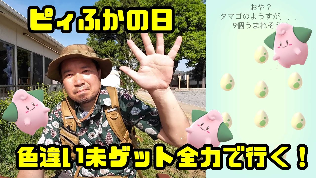 【ポケモンGO】リオルの時より色違い出やすい？ ピィふかの日