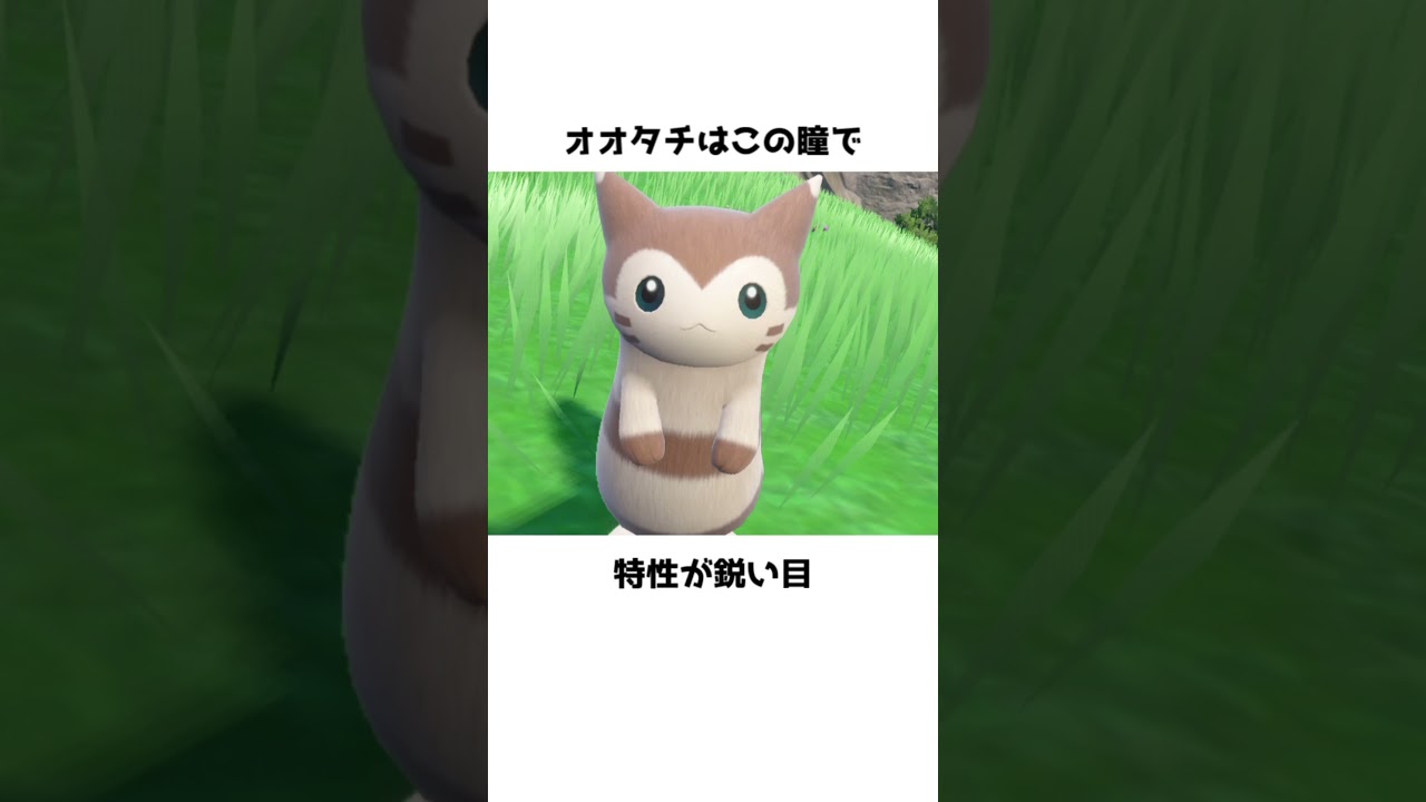 オオタチのちょっと怖い面白い雑学 #shorts  #ポケモンdlc