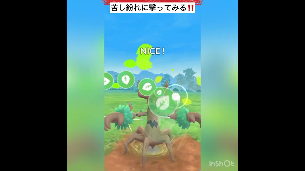 ネタで使ったつもりが！(◎_◎;)ホエルオーが強すぎた‼️