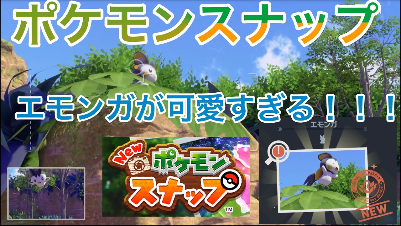 【New ポケモンスナップ】エモンガが可愛いすぎる！！！【渋木・カルテ】