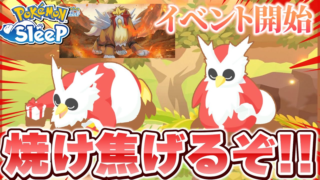 エンテイウィーク前にデリバード厳選してるの俺だけでは？？【ポケモンスリープ】