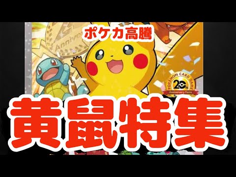 【ポケカ高騰】やっぱピカチュウはすげえわ！とんでもねえポテンシャル！