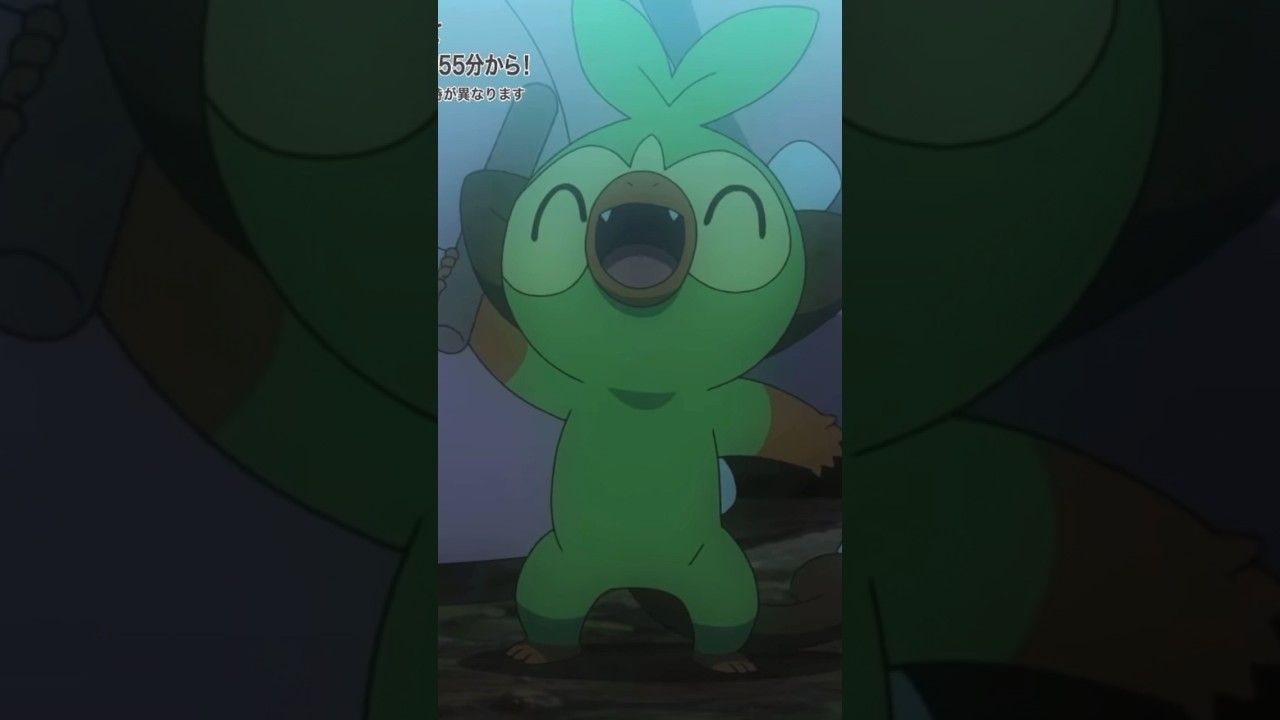 ﾙｷﾙｯｷｰ‼︎ #アニポケ #pokemon #anipoke #サルノリ