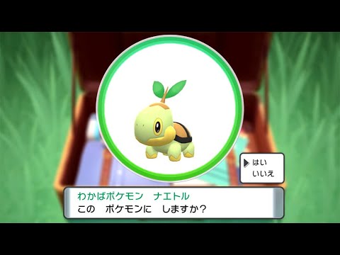 ナエトルと行くダイパリメイクストーリー実況！！＃4【ポケモンBDSP】
