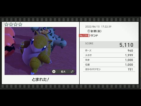 Newポケモンスナップ　★4サンド【5110】
