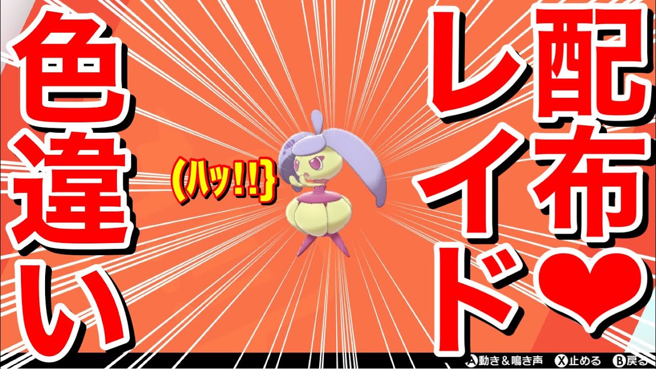 🔴【初見歓迎】（順番制）アママイコ⭐︎型♀Á 抜け4V通常特性、色違いレイド配布【ポケモン剣盾】