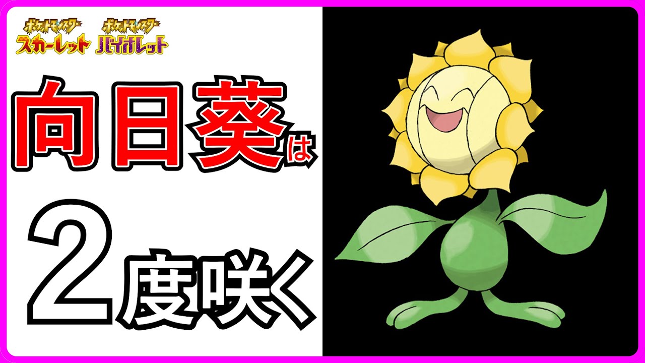 【SVダブル】6分でわかる「キマワリ」のすすめ【コンボ紹介】