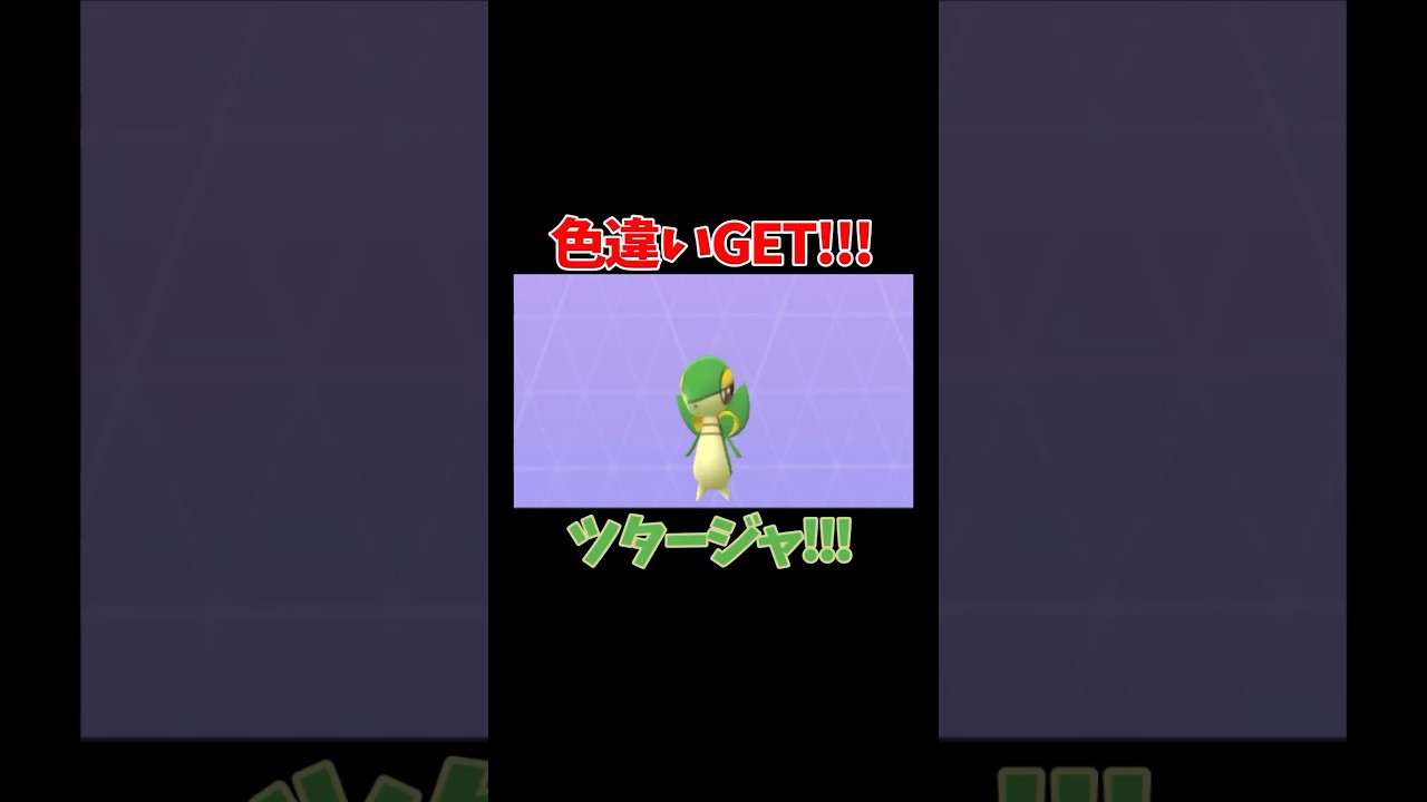 【ポケモンGO】色違いGET!!!ツタージャ!!!#pokemon #ポケモン #pokemongo #ポケモンgo #shinypokemon #色違い #snivy  #ツタージャ
