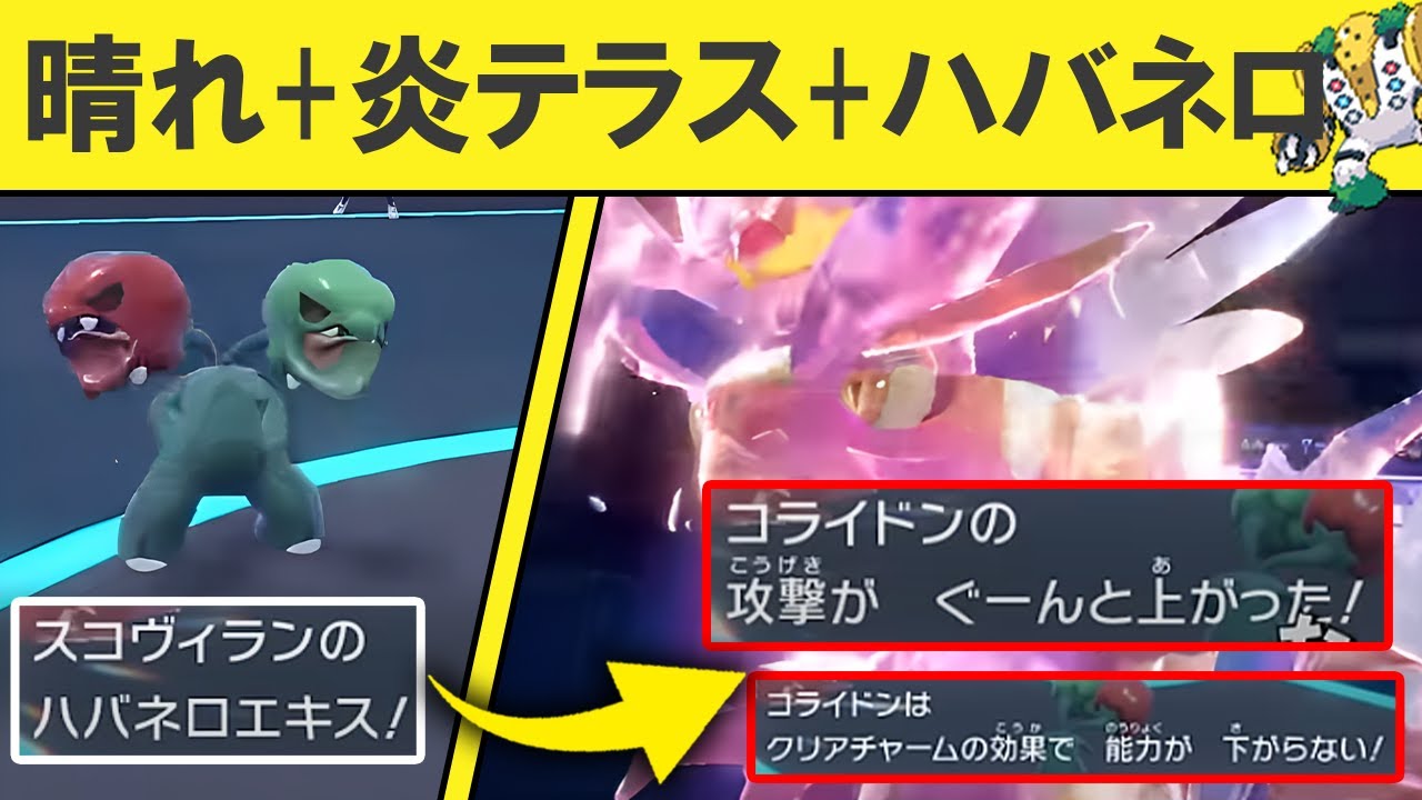 【ギガス実況】クリアチャームコライドンがドーピングして暴れてます