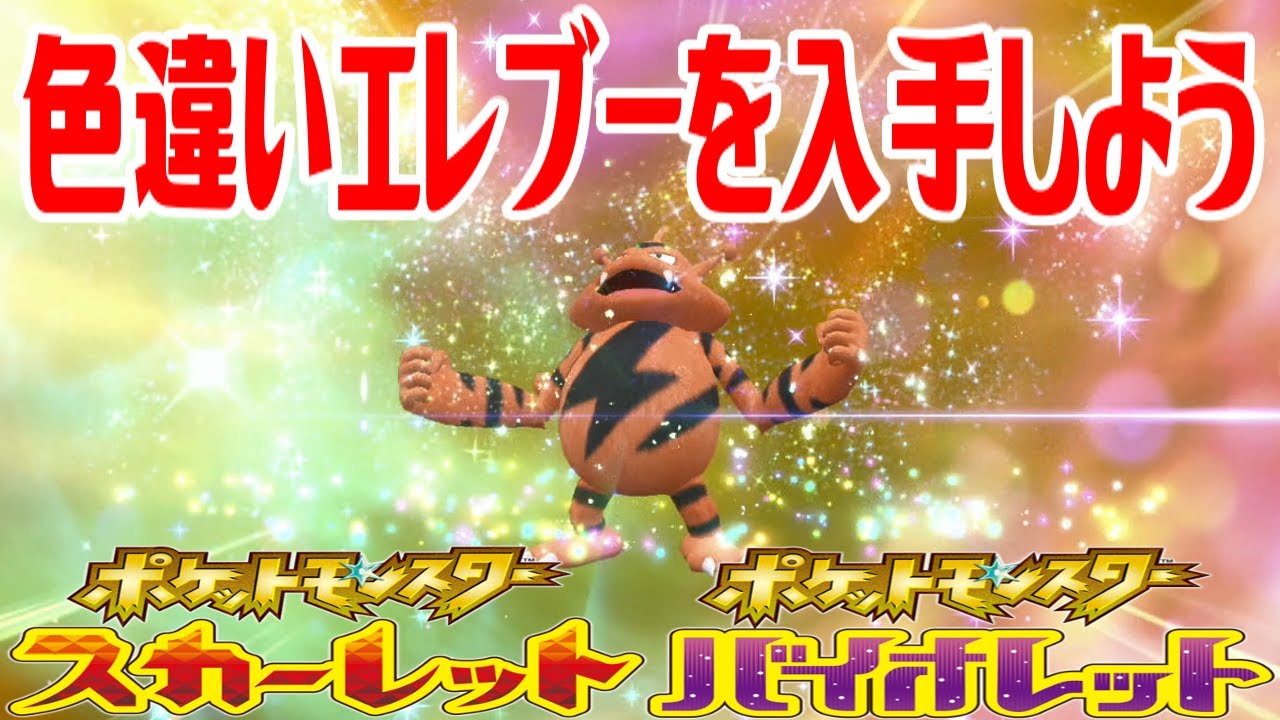 【ポケモンSV】色違いエレブーを入手しよう 進化入手【ポケットモンスター スカーレット・バイオレット ゼロの秘宝 藍の円盤】Pocket Monsters