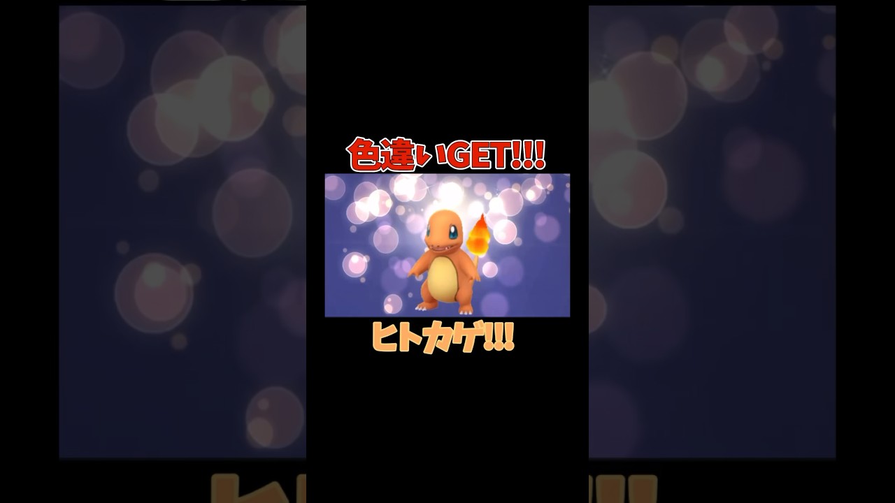 【ポケモンGO】色違いGET!!!ヒトカゲ!!!#pokemon #ポケモン #pokemongo #ポケモンgo #shinypokemon #色違い  #charmander  #ヒトカゲ