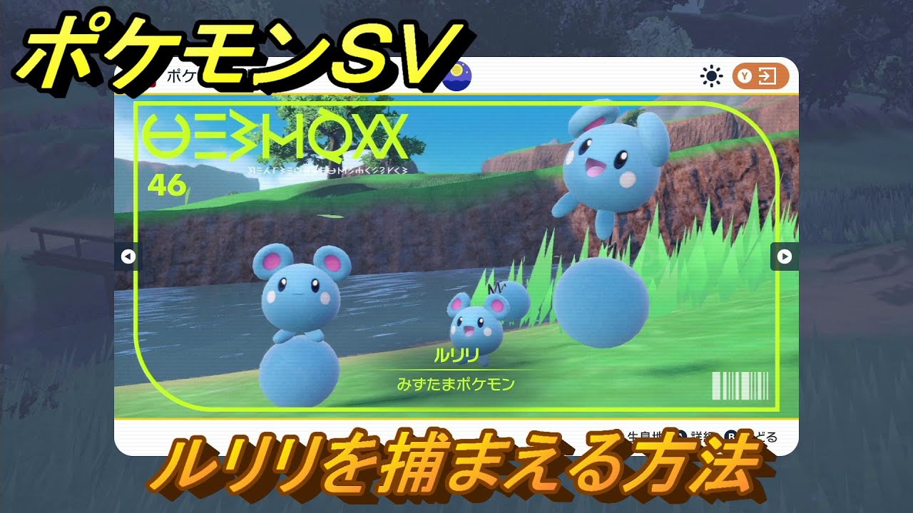 ポケモンＳＶ　ルリリを捕まえる方法！出現場所は？図鑑No.４６　ポケモン図鑑を埋めよう！　【スカーレット・バイオレット】