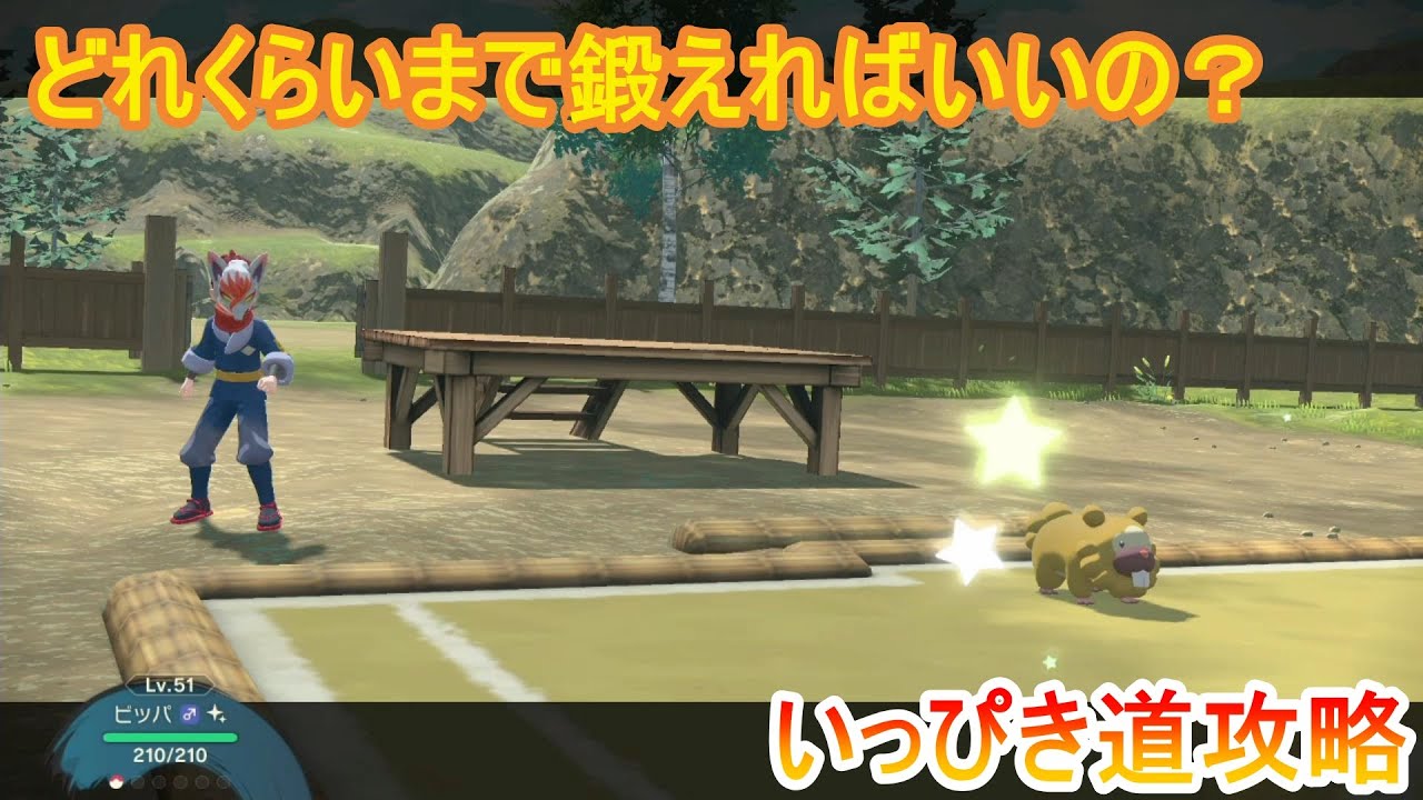 【レジェンズアルセウス】ビッパのいっぴき道攻略！