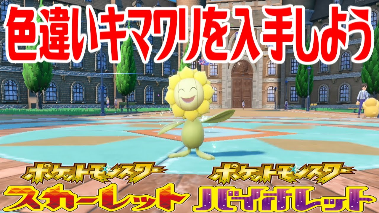 【ポケモンSV】色違いキマワリを入手しよう 進化入手【ポケットモンスター スカーレット・バイオレット】Pocket Monsters