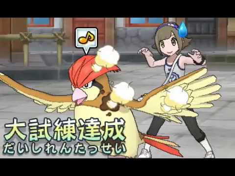 ピジョンとの島巡り【ポケットモンスター ウルトラサン & ウルトラムーン】