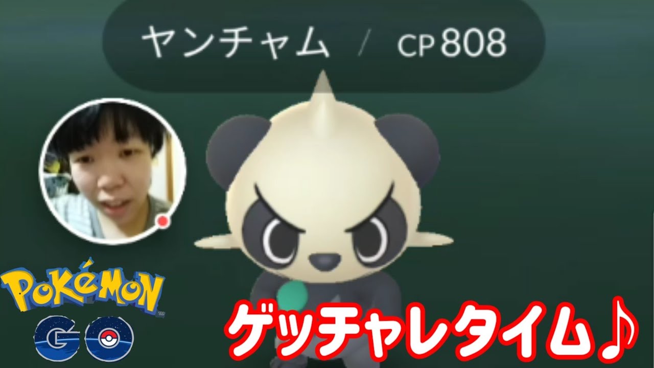 セレナが持ってたヤンチャムの初レイドバトルしてみたよ♪【ポケモンGO】