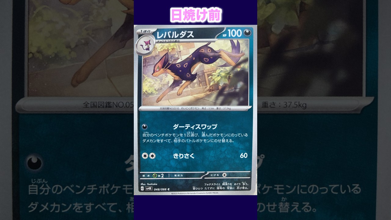 レパルダスの日焼けポケカ