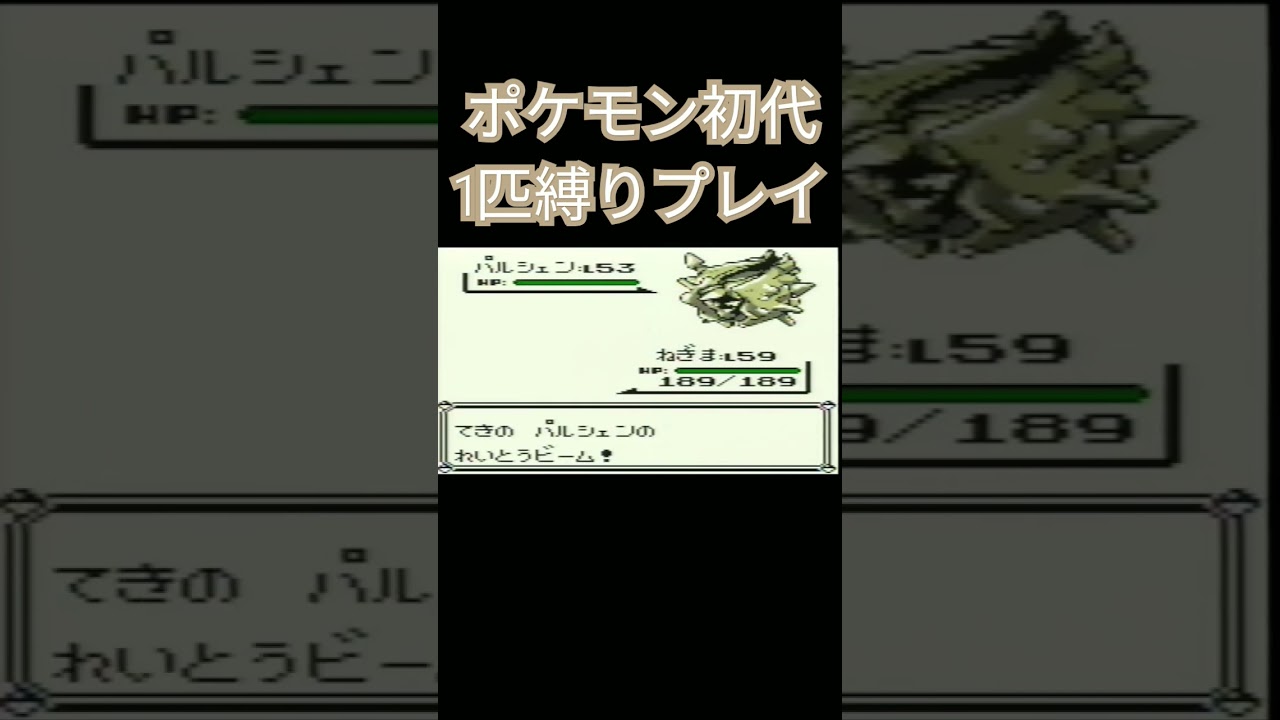 【ポケモン初代】ポケモン初代1匹縛りプレイ!!ポッポver【縛りプレイ】#ポケモン初代 #縛りプレイ #ポッポ #ピジョン #ピジョット #ゲーム実況
