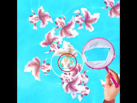 コミュデイ続きで球がないけどトサキントも頑張ります！【2020.11.23UP】