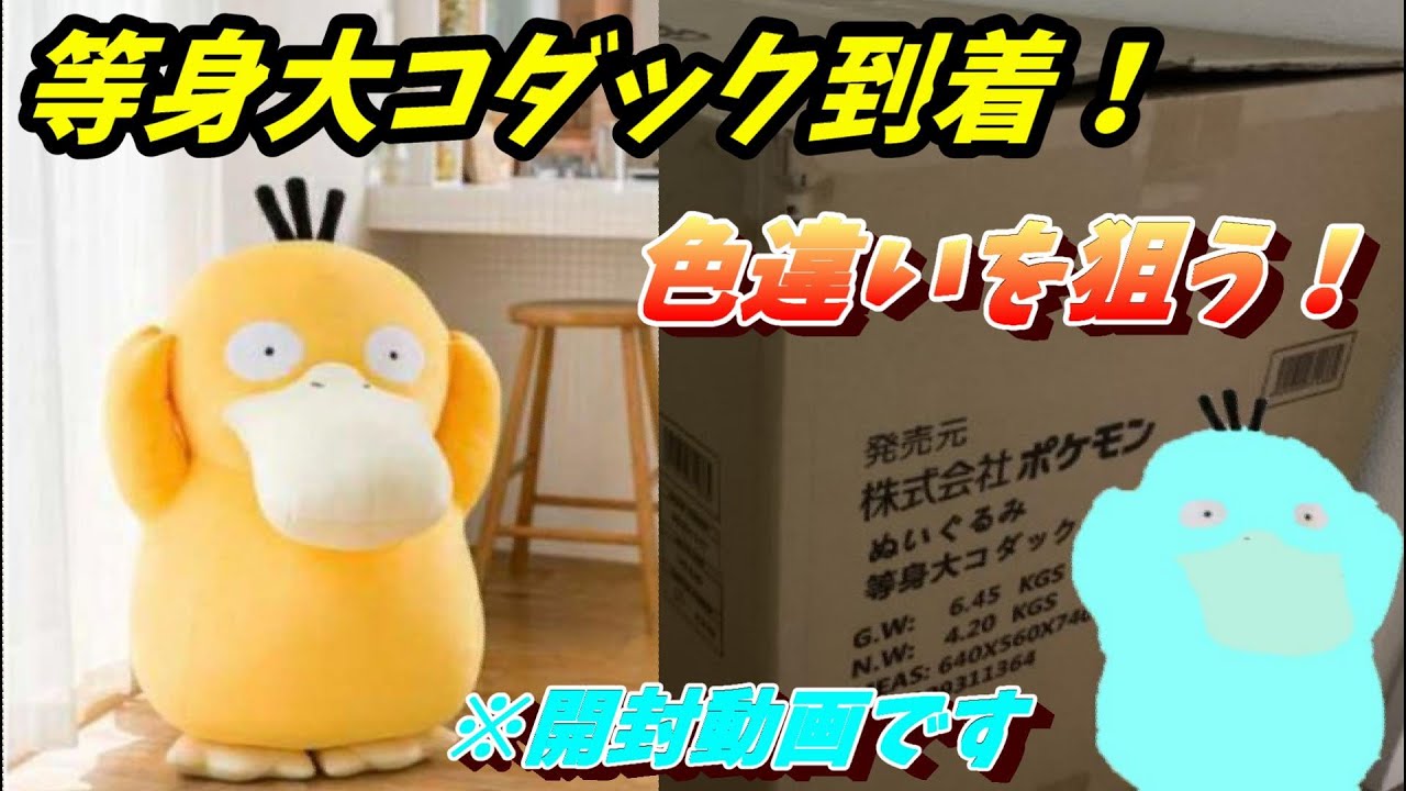 【実写】等身大コダックが届いたぜ！　【チャンネル登録30人突破企画】