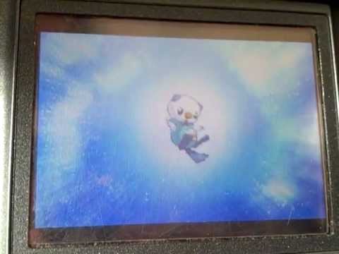 モトチカのミジュマルがフタチマルに進化