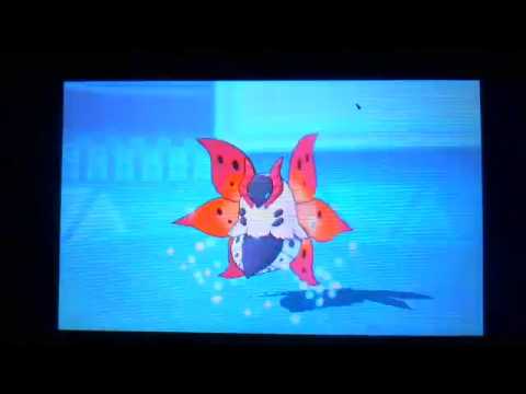 ORASレパルダス