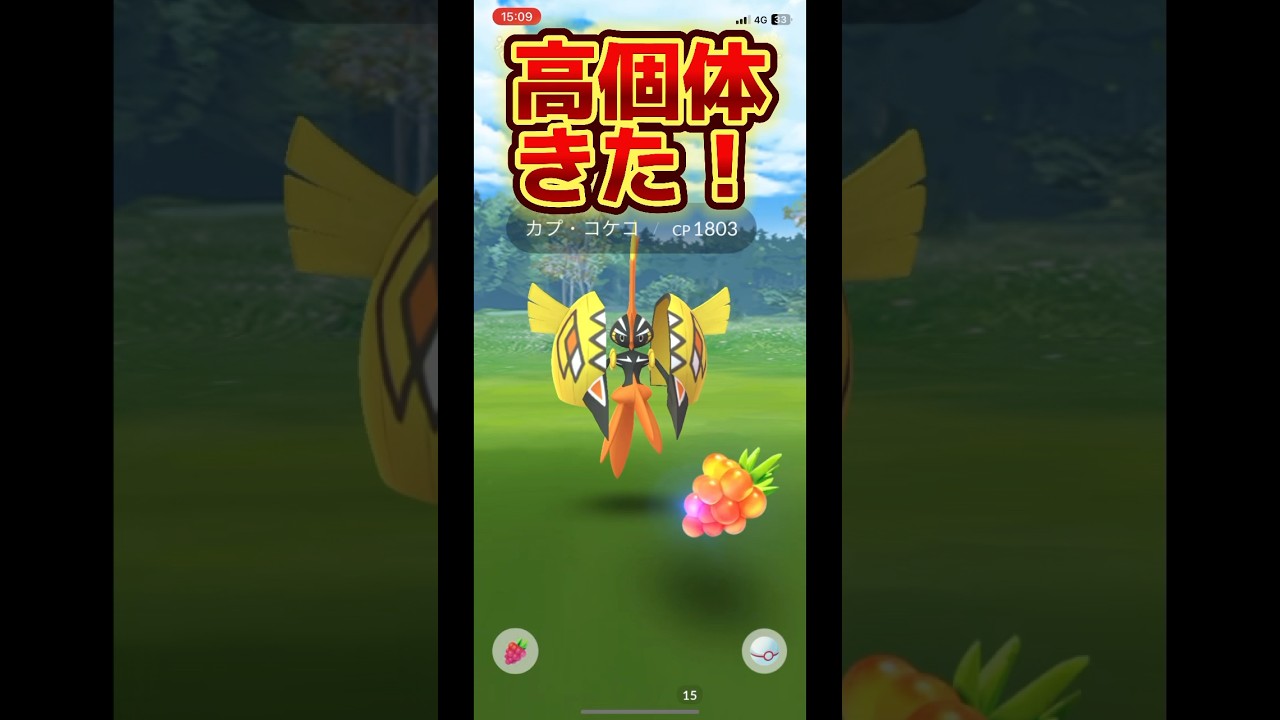 【ポケモンGO】カプ・コケコ高個体きた！#ポケモンgo #pokémongo #pokemongo