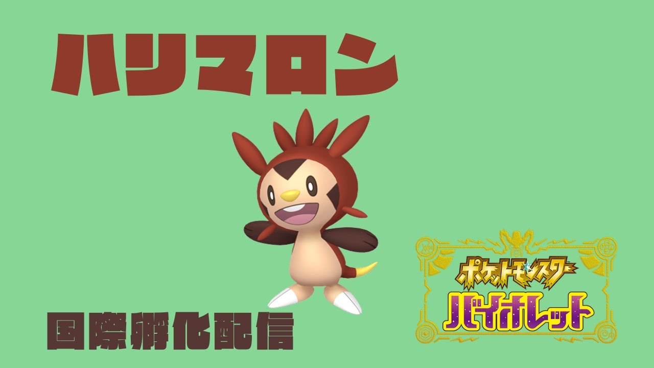 【ポケモンSV】　色ハリマロン色粘り国際孵化【ほぼ喋らない作業記録用】