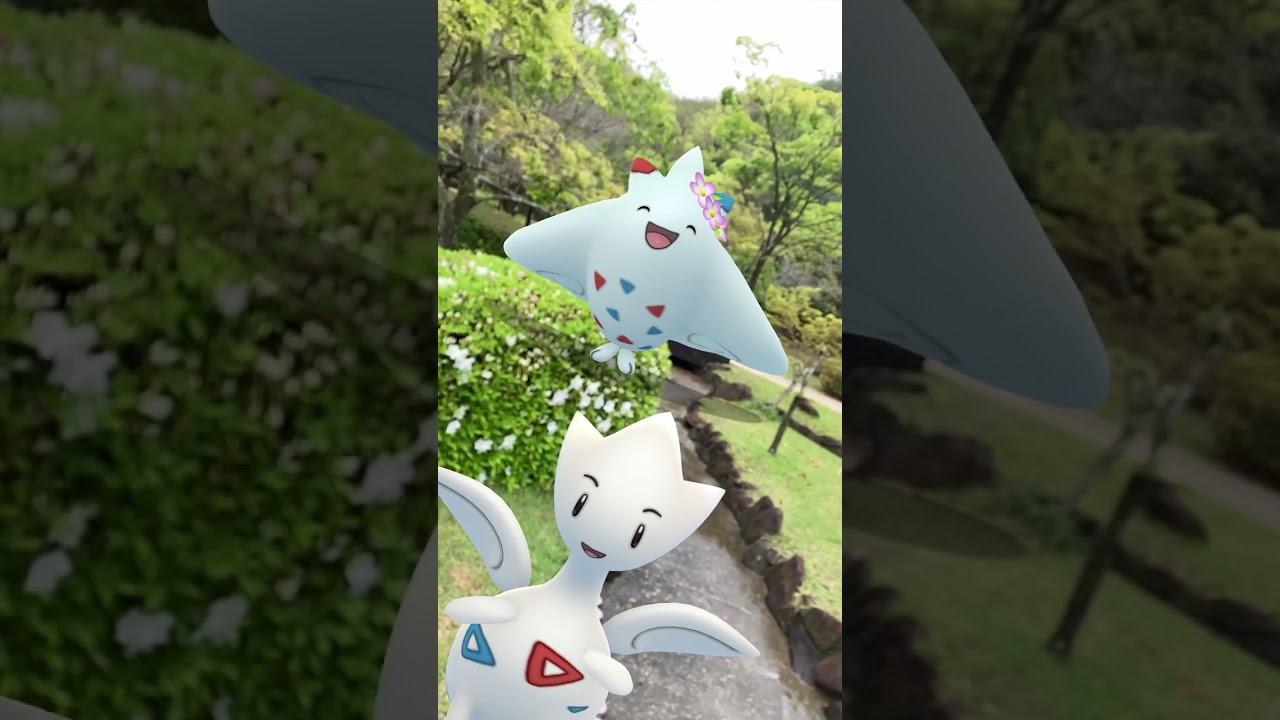 花飾りトゲチック｜Togetic｜トゲキッス｜Togekiss｜トゲピー｜Togepi｜GOphotobomb｜Flower crown【ポケモンGO】PoKeMoN GO AR｜#Shorts