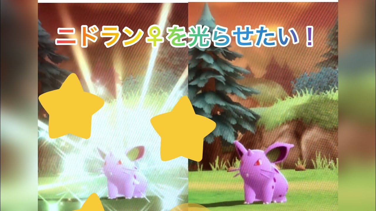 カエールさんも使っていたニドクインを色違いで使いたい！ポケトレオススメ色違いニドラン♀！