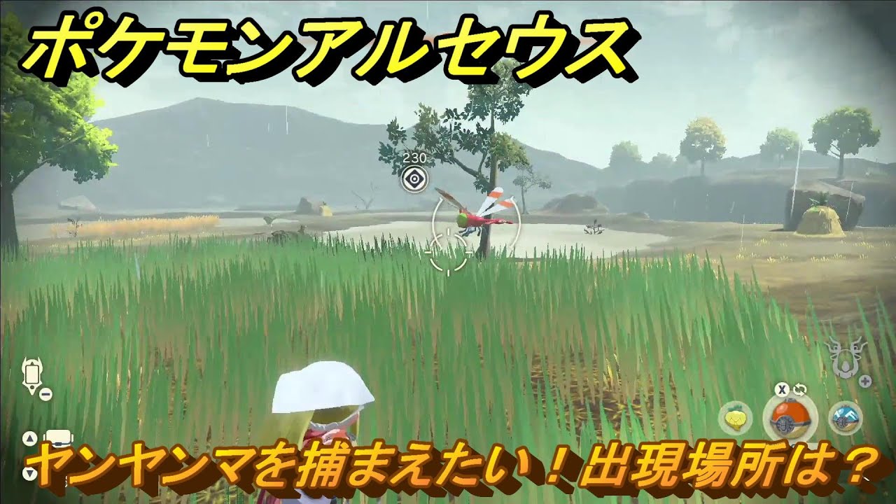 ポケモンアルセウス　ヤンヤンマを捕まえたい！出現場所は？　＃５９　【Pokémon LEGENDS アルセウス】