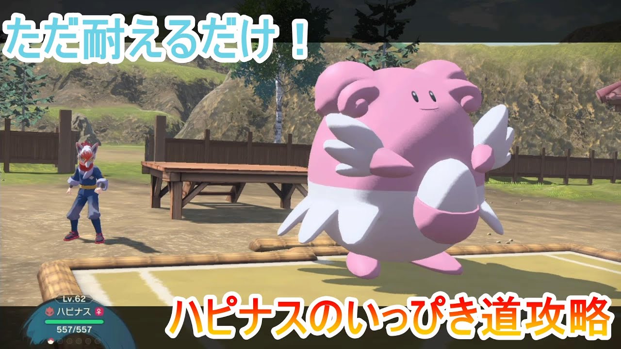 【レジェンズアルセウス】ハピナスのいっぴき道攻略！