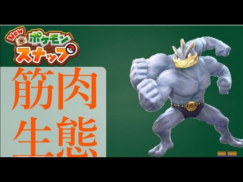 【３分で分かる】カイリキーの生態【ポケモンスナップ】