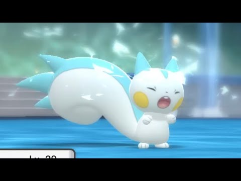 とにかく可愛いパチリス君　#ポケモン #ダイパ　#リメイク　#shorts