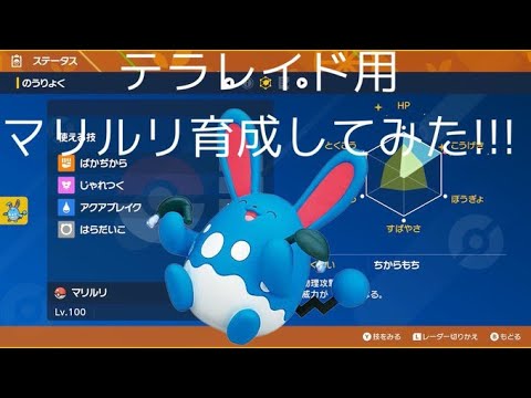 【ポケモンSV】テラレイド用のマリルリ育成方法！！