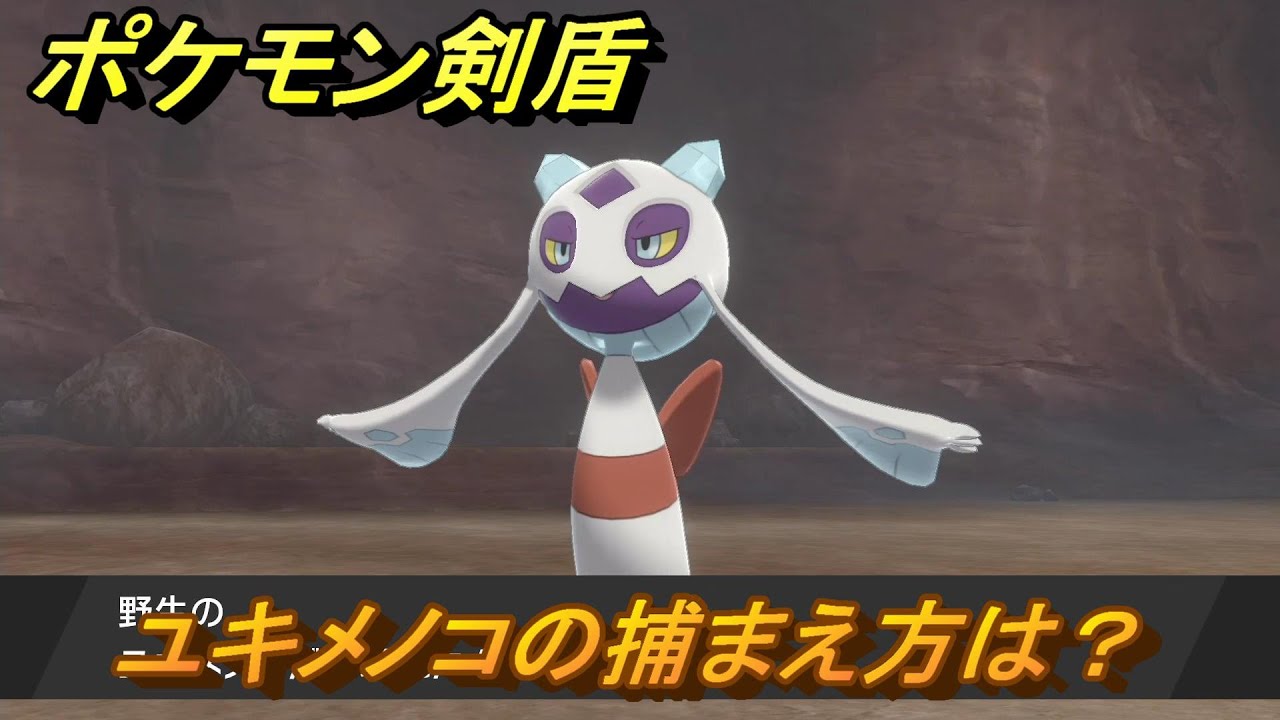 ポケモン剣盾　ユキメノコを捕まえる方法！オススメの場所は？天気は？ポケモン図鑑コンプへの道！　最新版【ポケモンソード・シールド】