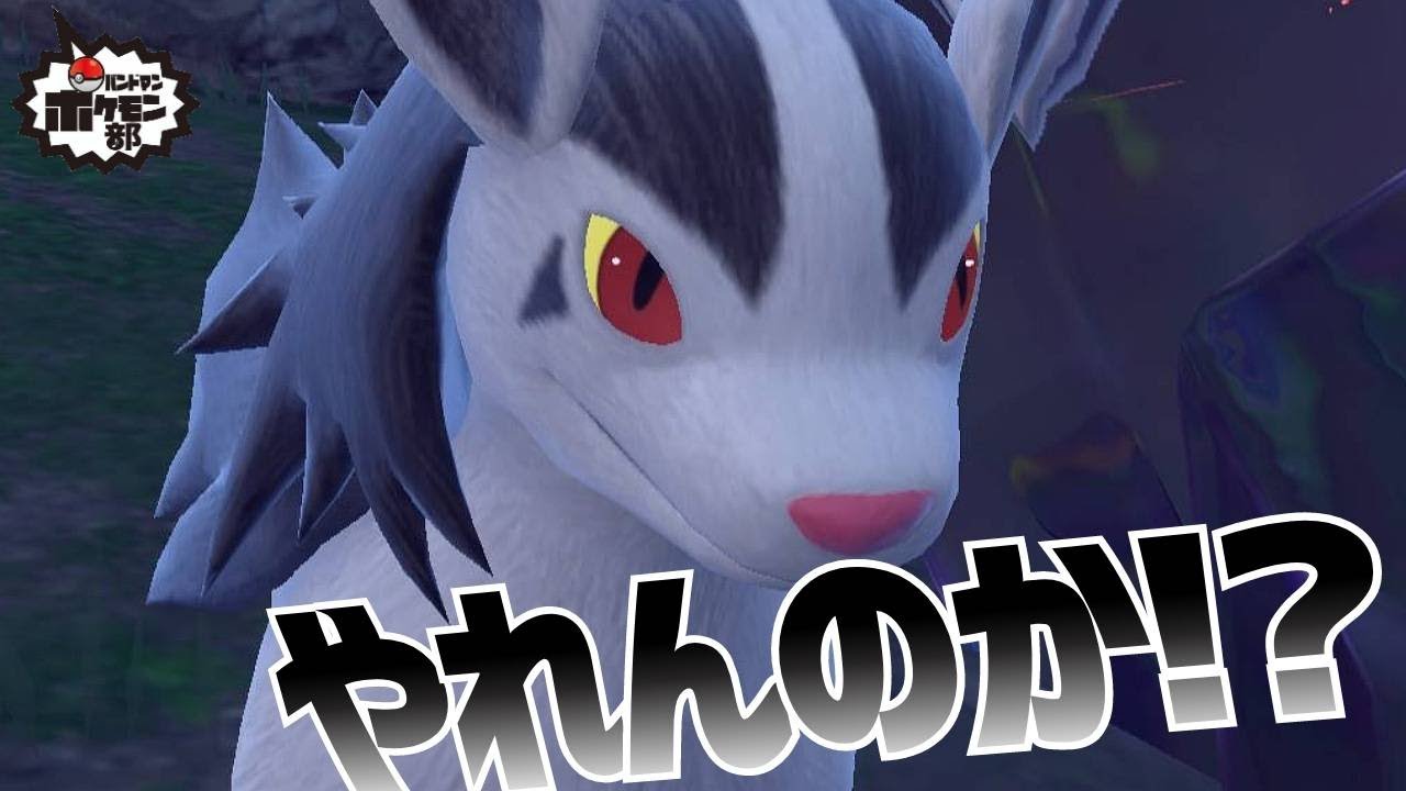 【ポケモンSV】グラエナお前、やれんのか〜!?【金魚】